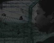 documentari sul Medio Oriente